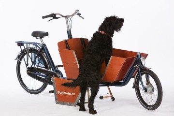 Luik voor in de zijkant van de bak