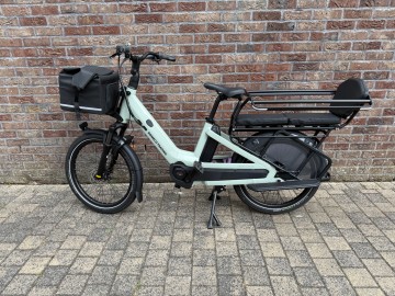 Breeze longtail