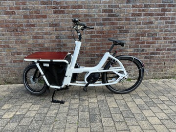 Urban Arrow Shorty