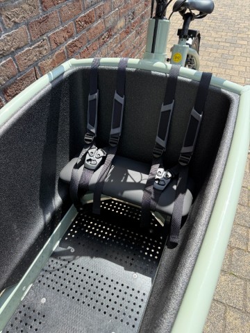 Family Active - Line Sage Green