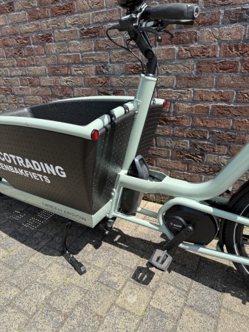 Family Active - Line Sage Green