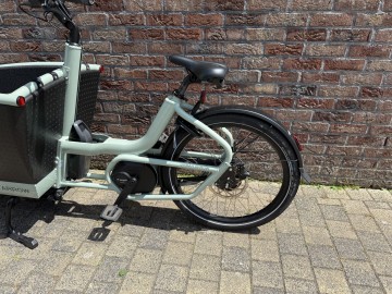 Family Active - Line Sage Green