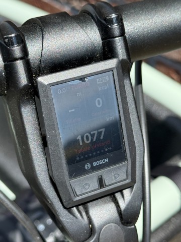 Family Active - Line Sage Green