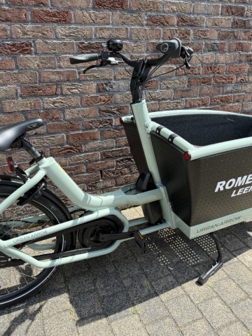 Family Active - Line Sage Green