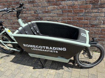 Family Active - Line Sage Green